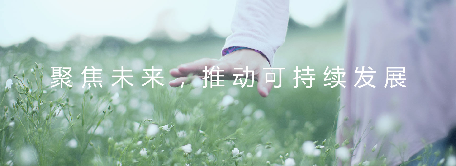 banner2